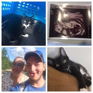 Meet your Posher, Brianna